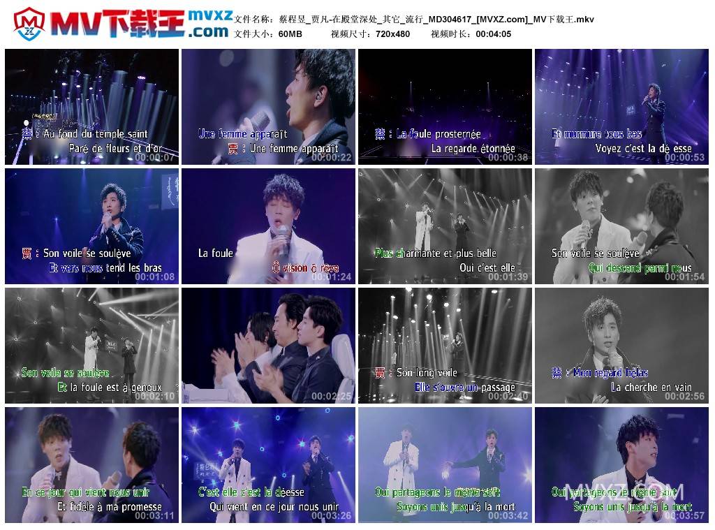 蔡程昱_贾凡-在殿堂深处_其它_流行_MD304617